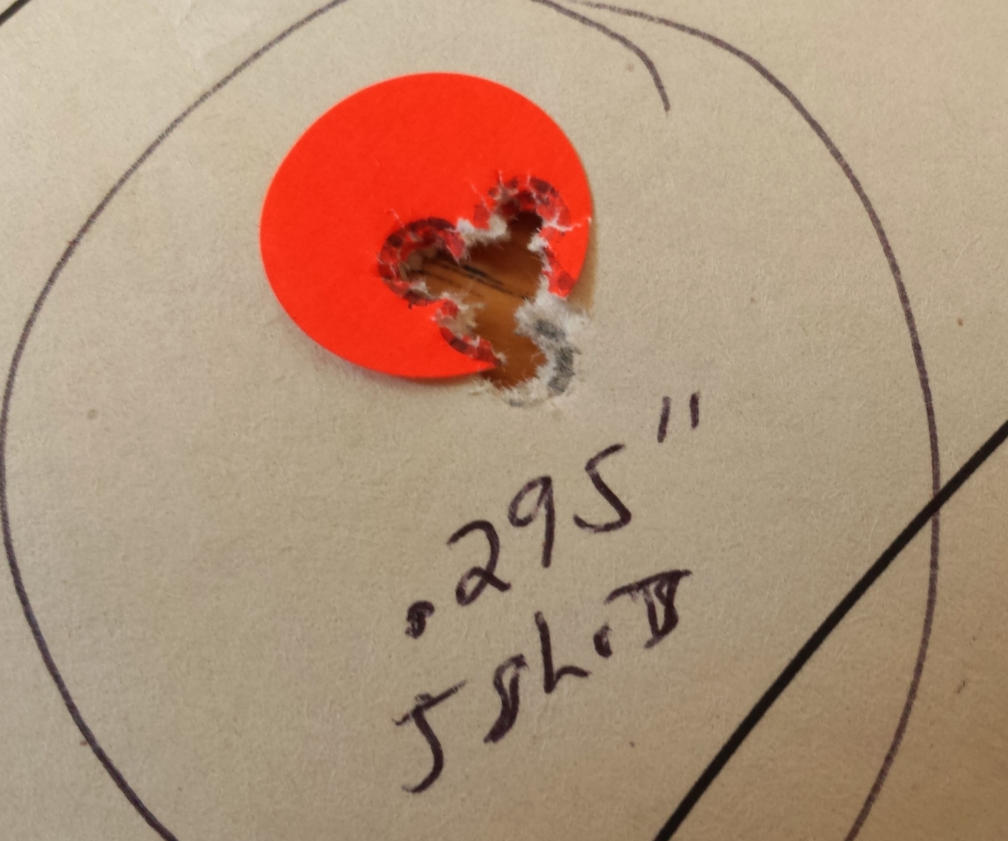.295_5_shot_group